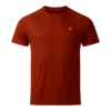 CAMISETA DARE 2B PERSIST TEA Arabian Spice
