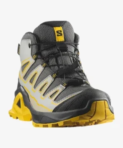 Alternative view of BOTAS SALOMON X ULTRA MID GTX J
