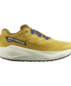 ZAPATILLAS SALOMON running Aero Blaze 3 GRVL