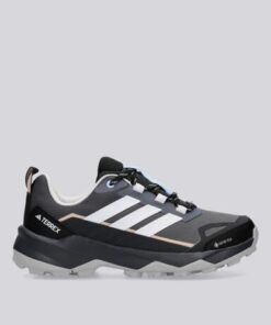 ZAPATO TERREX SKYCHASER AX5 GTX woman